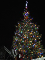 Citrus Heights Christmas Tree. Photo by Luke Otterstad