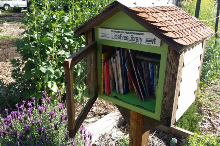 Little Free Library in Citrus Heights. Photo by Luke Otterstad