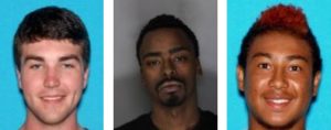Citrus heights police, arrests