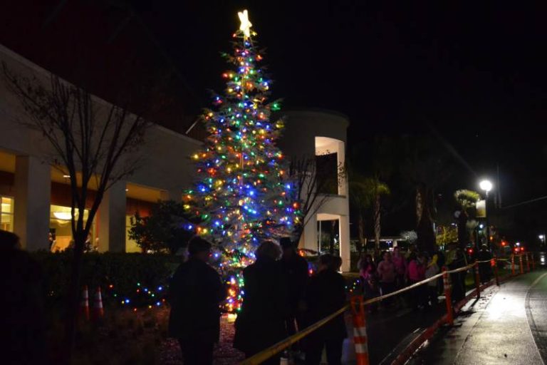 Citrus Heights Christmas Tree Lighting