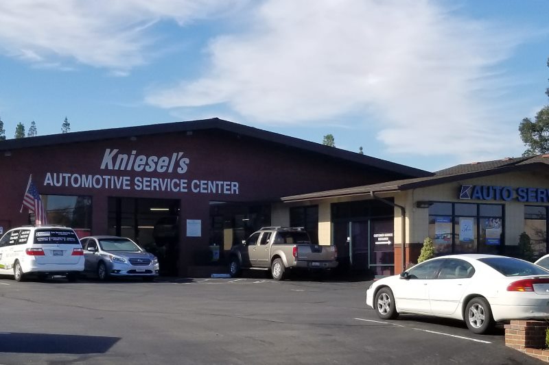 Kniesel's
