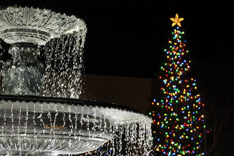 Tree lighting, city hall