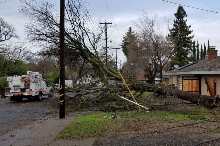 SMUD, downed tree, wires, power