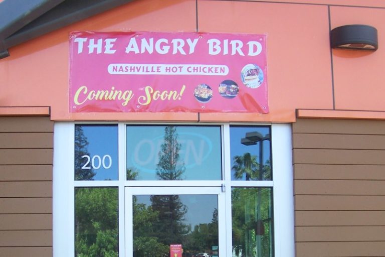 The Angry Bird