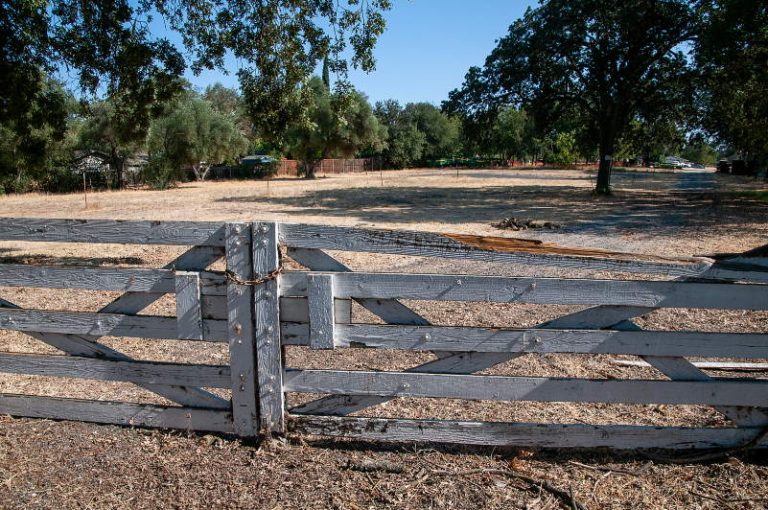 Pumpkin Farm, Citrus Heights