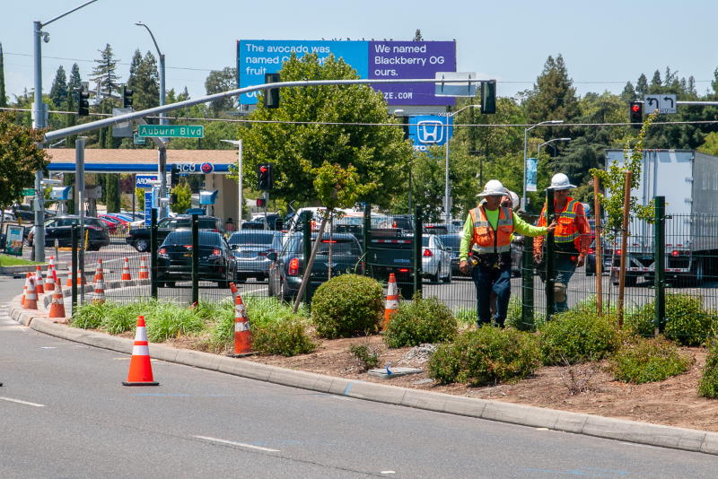 Median fencing