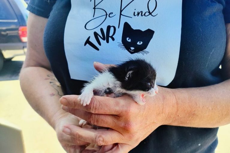 nonprofit BeKind TNR
