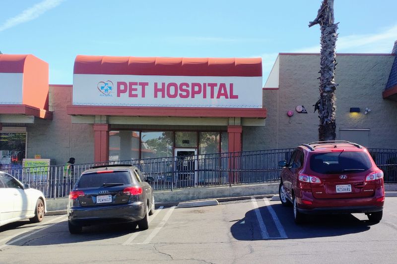 Akaal Pet Hospital 
