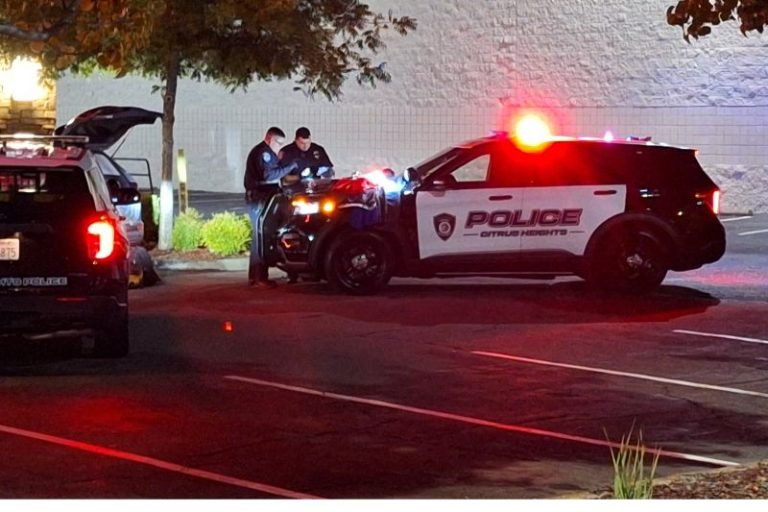 Officers inspecting stolen merchandise