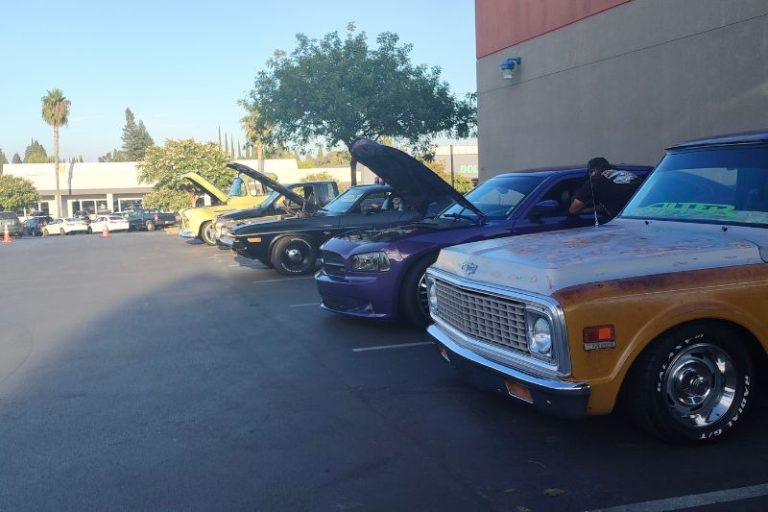 RODS & MODS and The Rooted Collective partnered to host a car show to help Park Fire victims