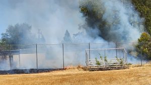 vegetation fire