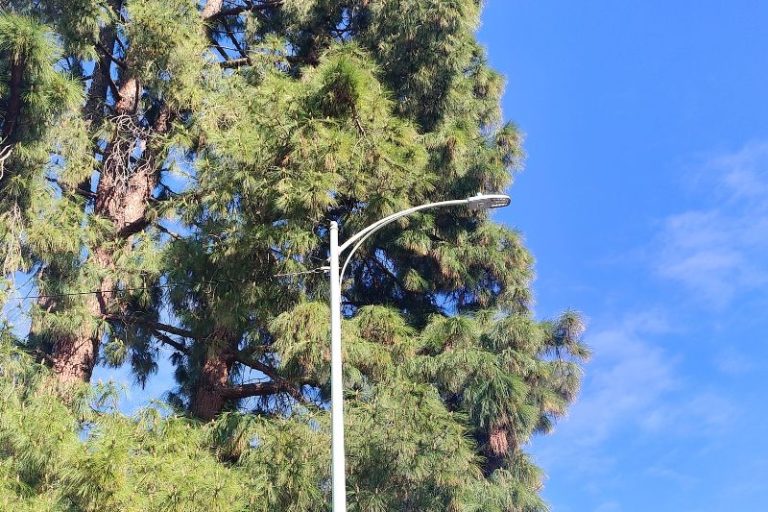 A street light located in Neighborhood Area 2